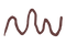 33.png