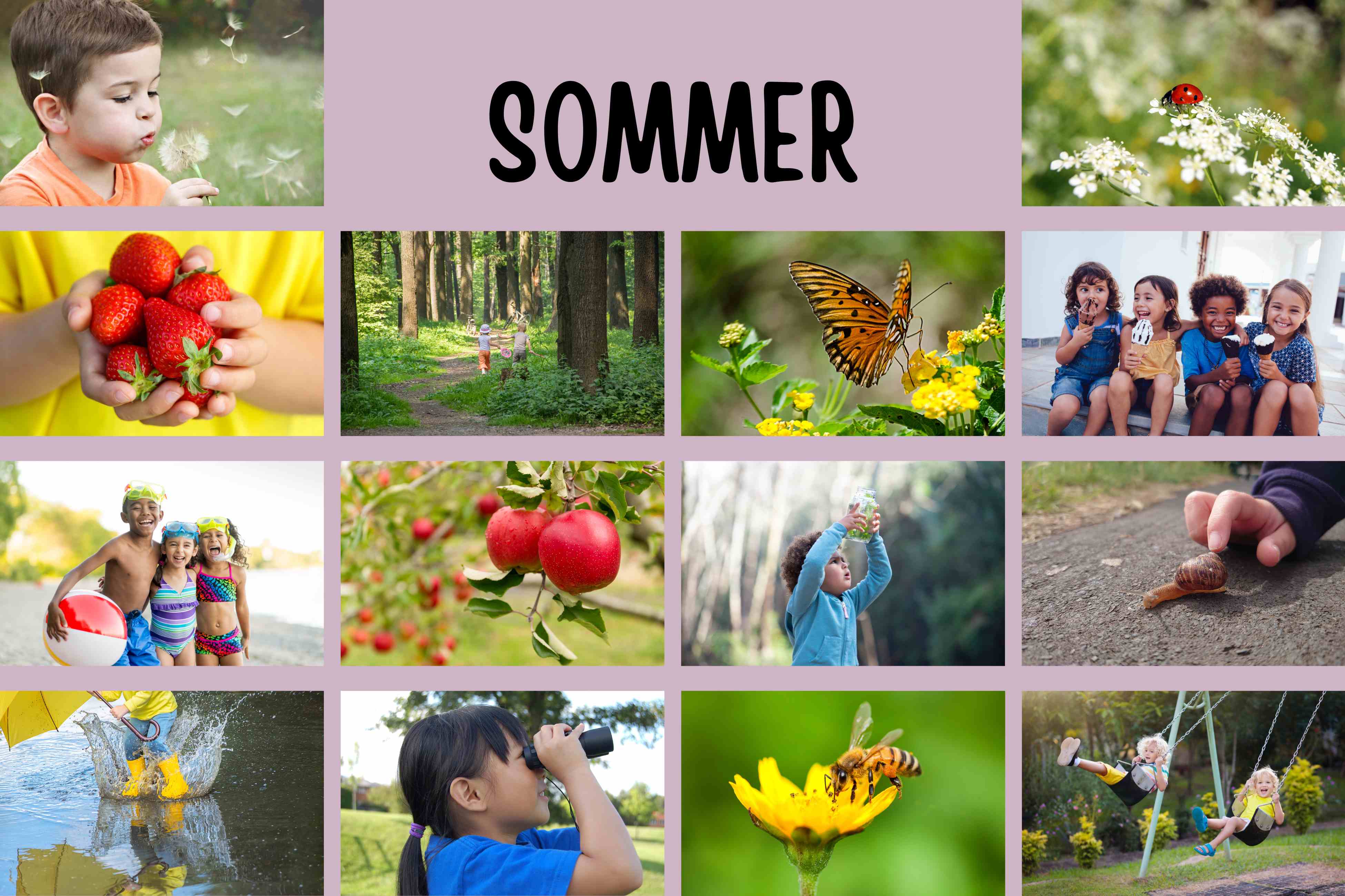 Årstiderne - Sommer