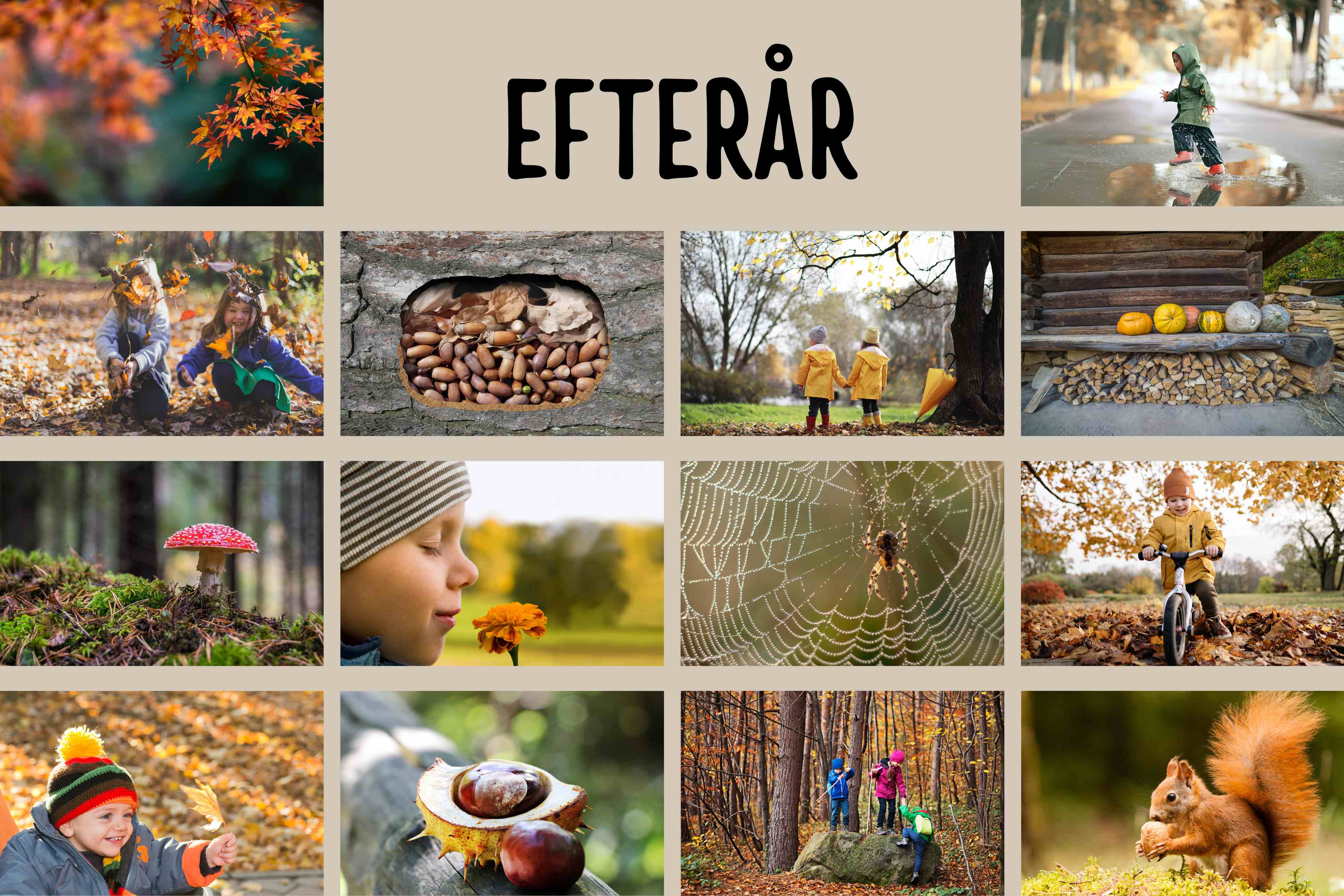 Årstiderne - Efterår