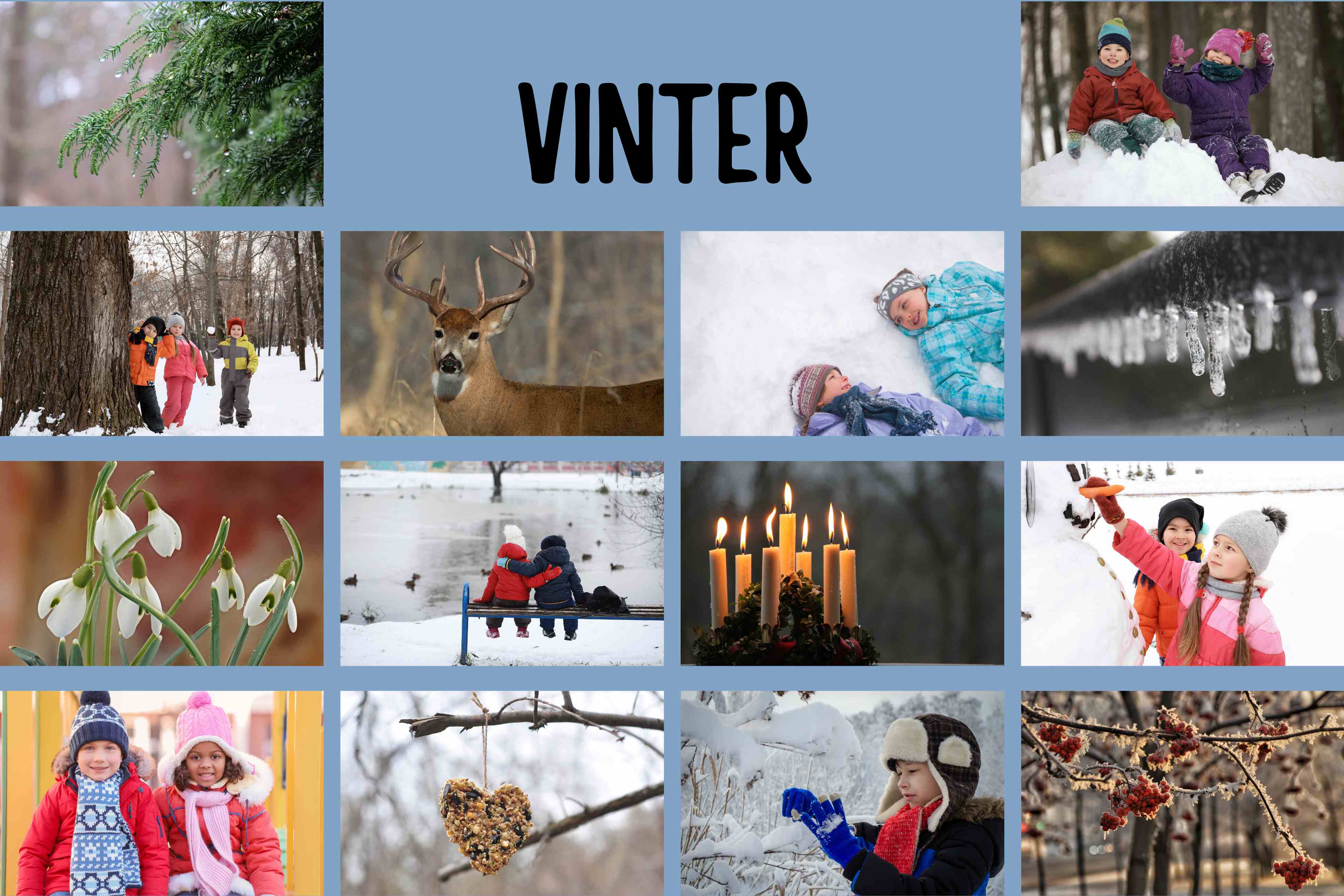 Årstiderne - Vinter