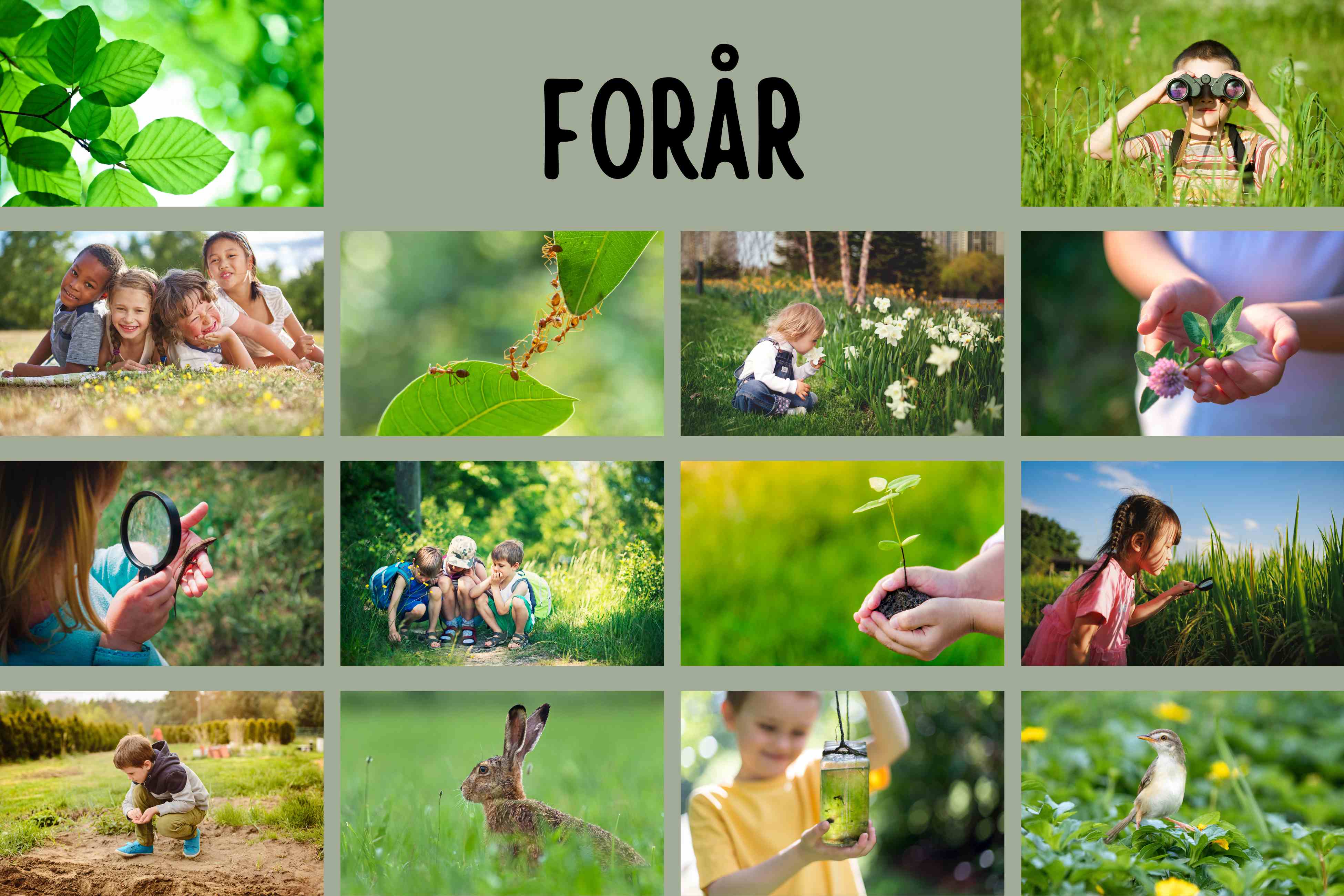 Årstiderne - Forår