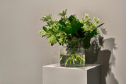 Glass and greenery