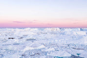 Arctic pastels