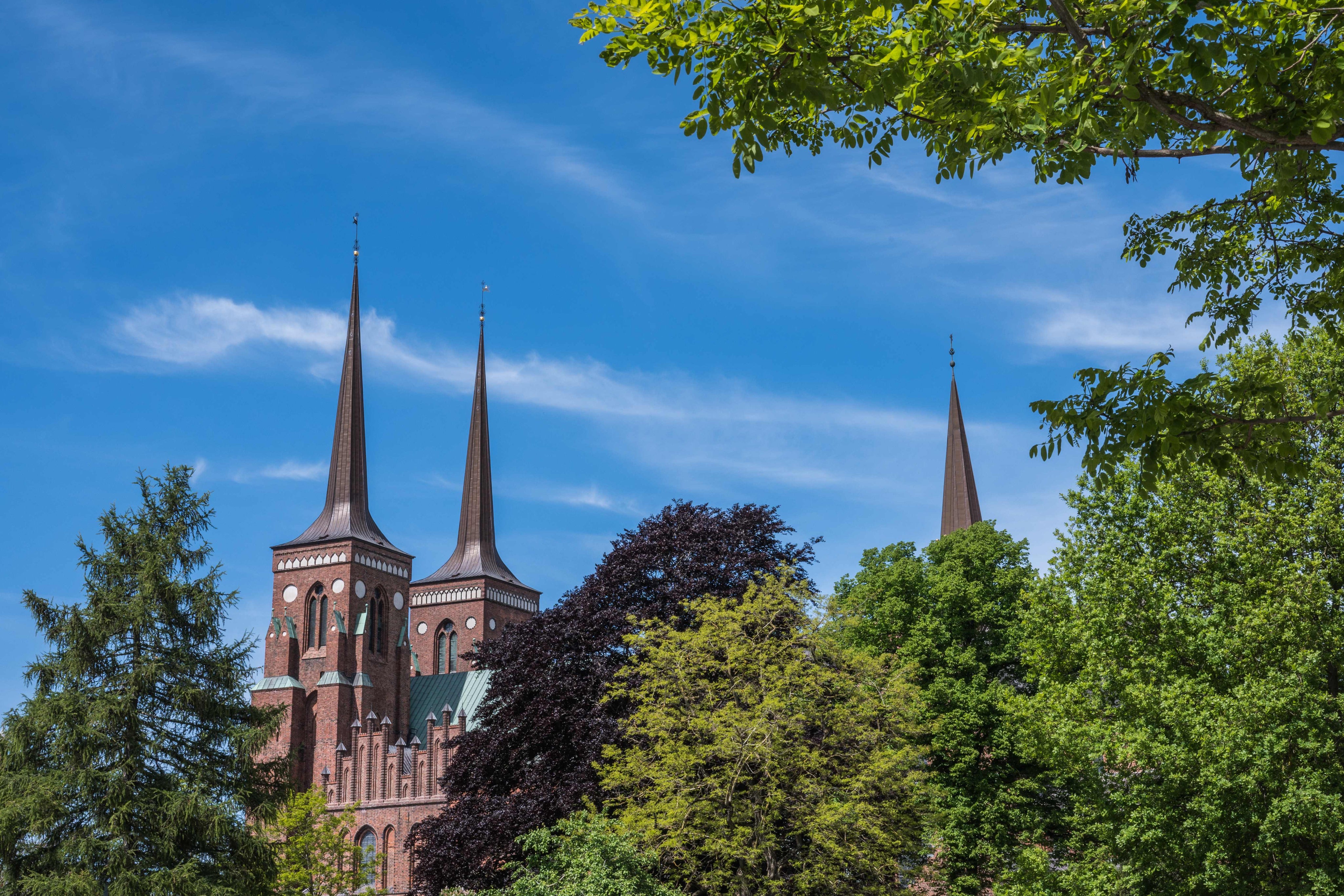 Cathedral in bloom
