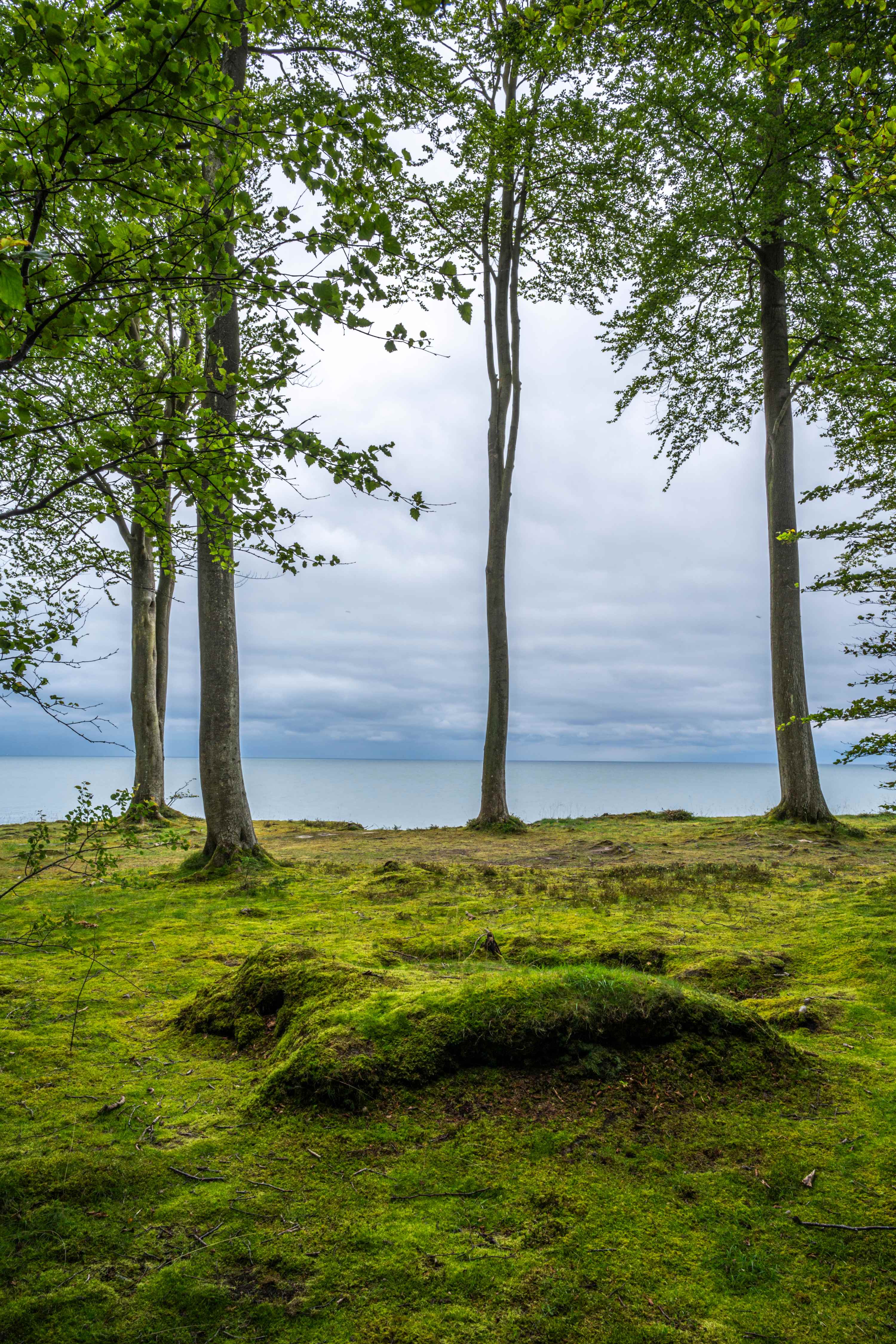 Coastal landscape