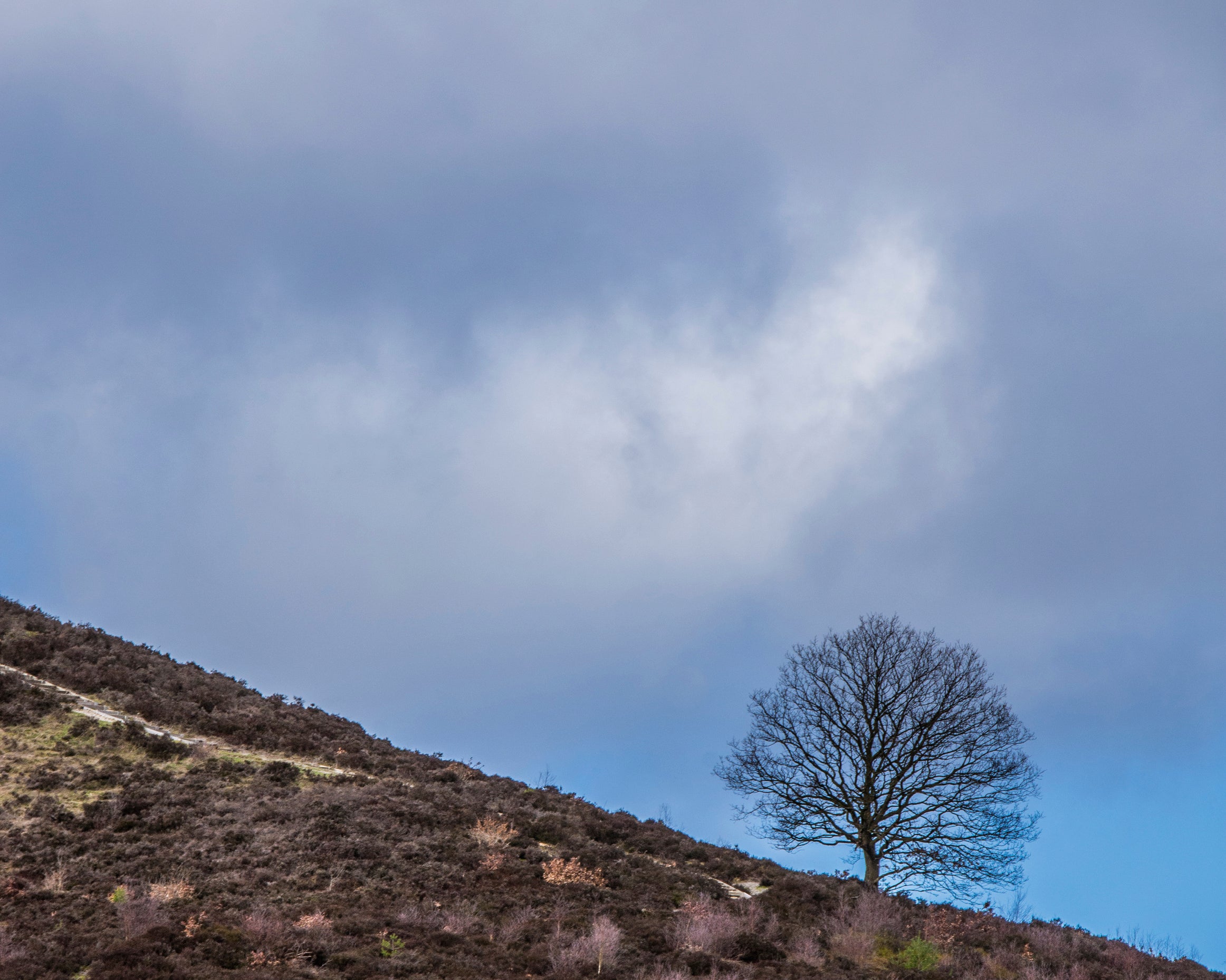 Againstthesky-80x120cm.jpg