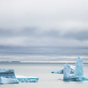 Arctic art