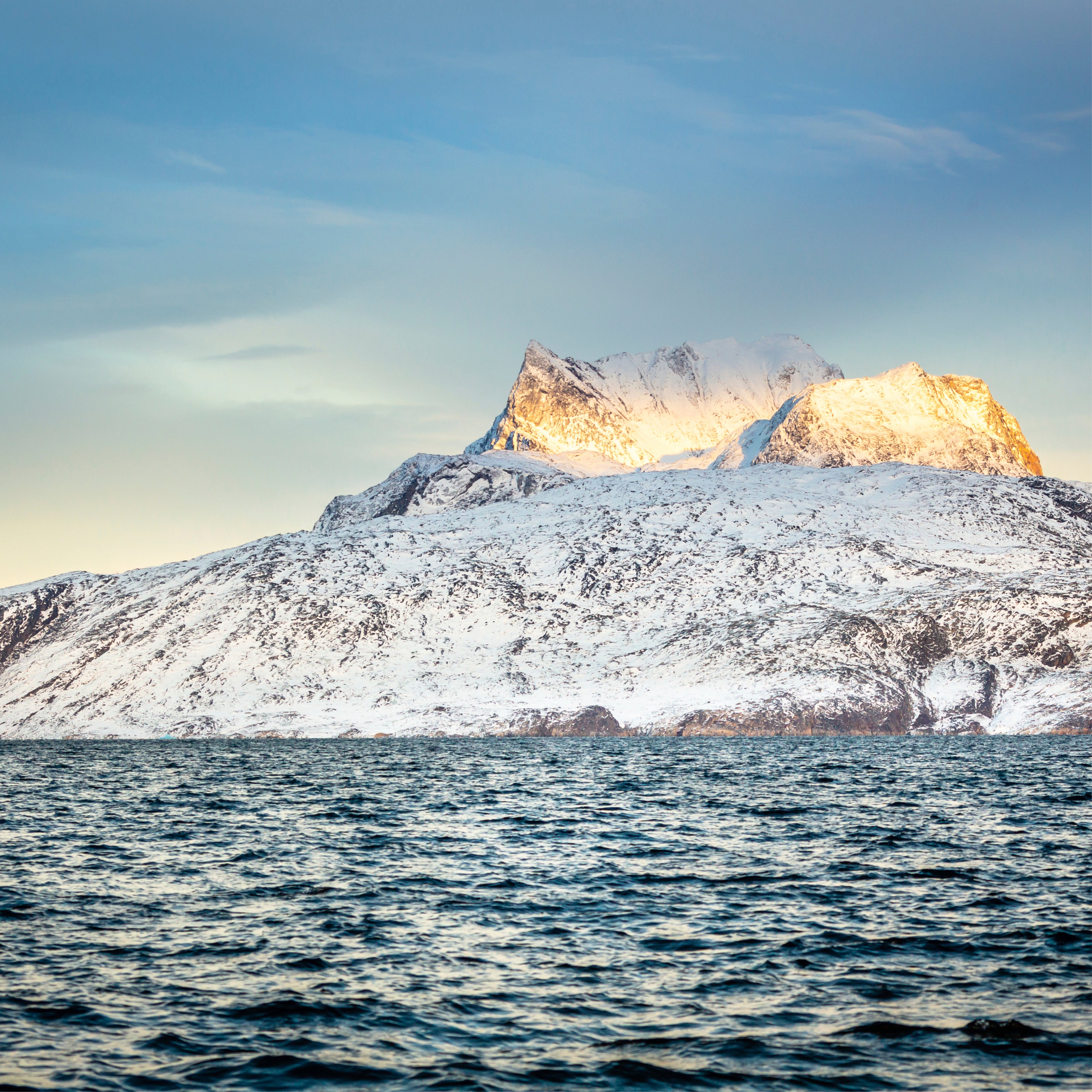 Arctic crown