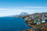 Arctic palette