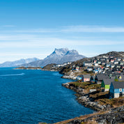 Arctic palette