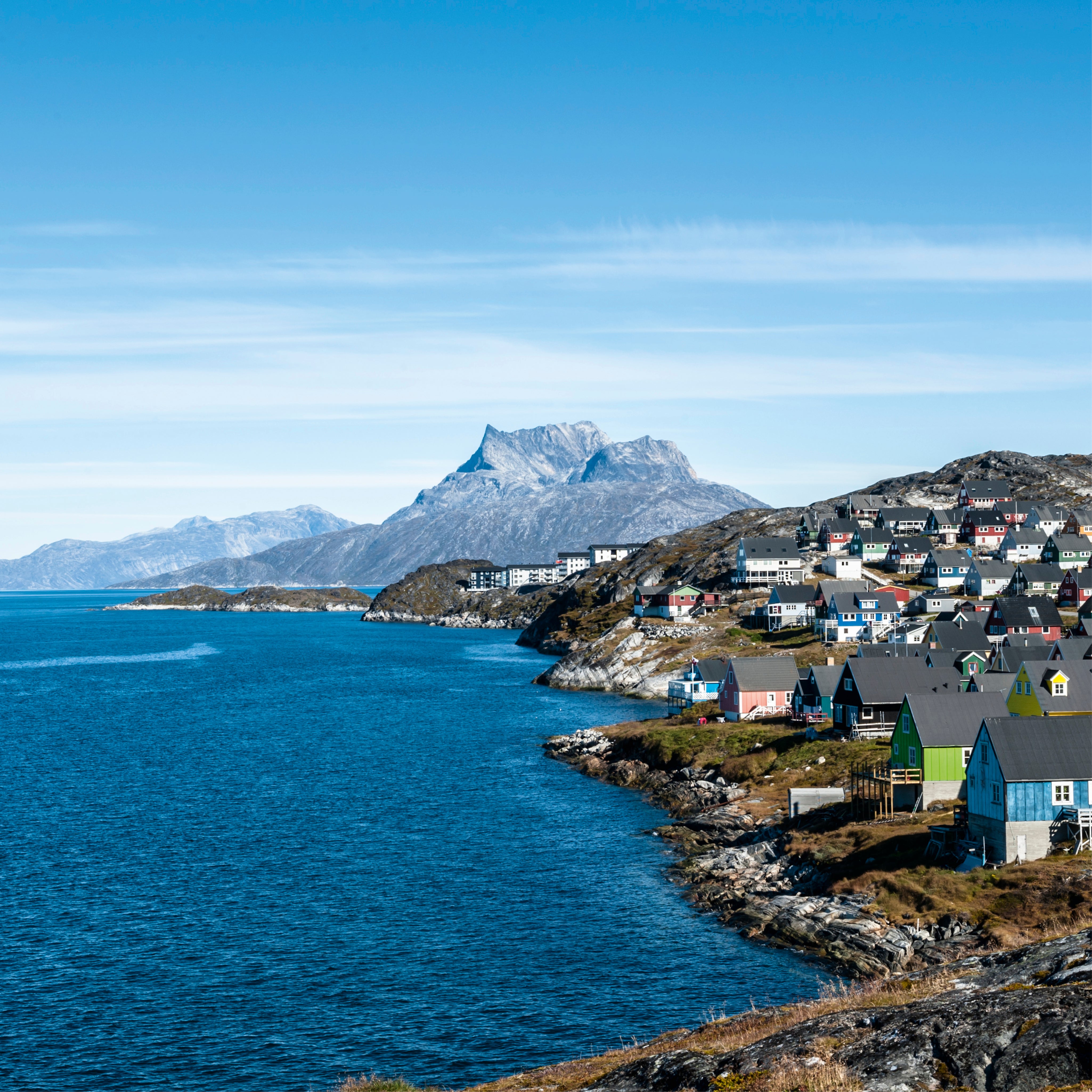 Arctic palette