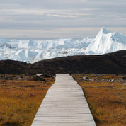 Arctic trail