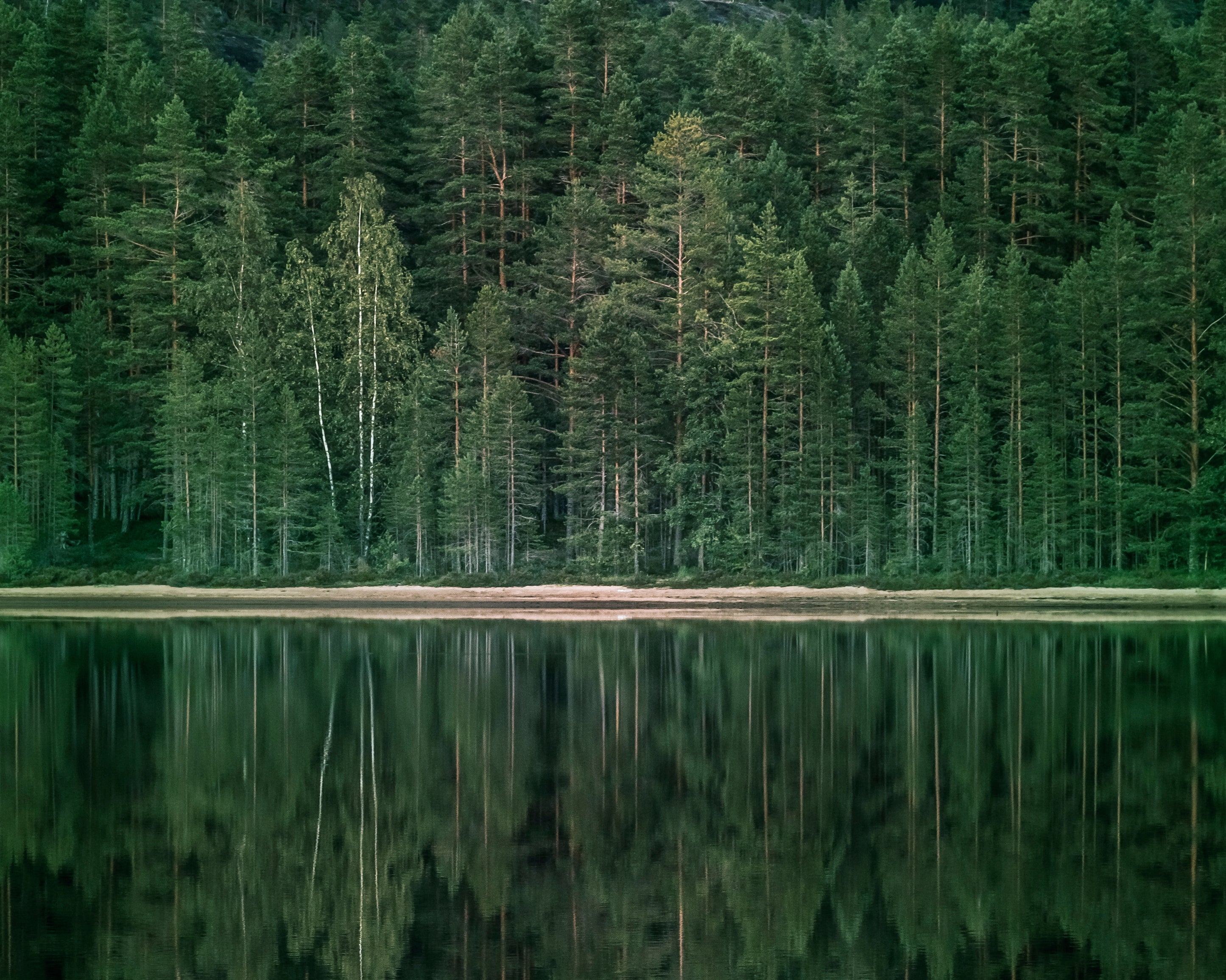 Atranquilshore-100x150cm.jpg