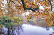 Autumnal Waterway