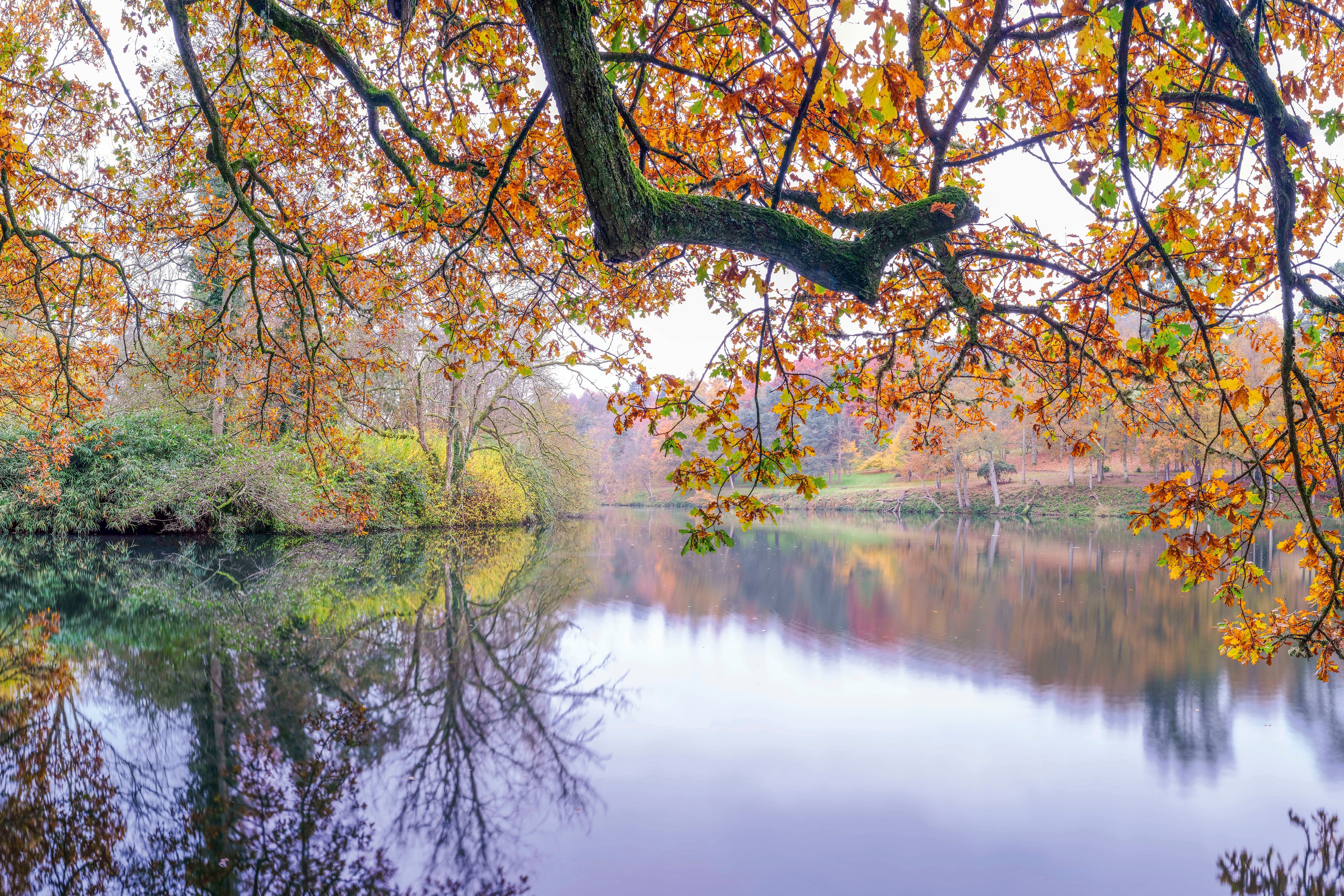 AutumnalWaterway-120x80cm.jpg