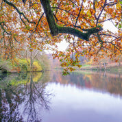 Autumnal Waterway