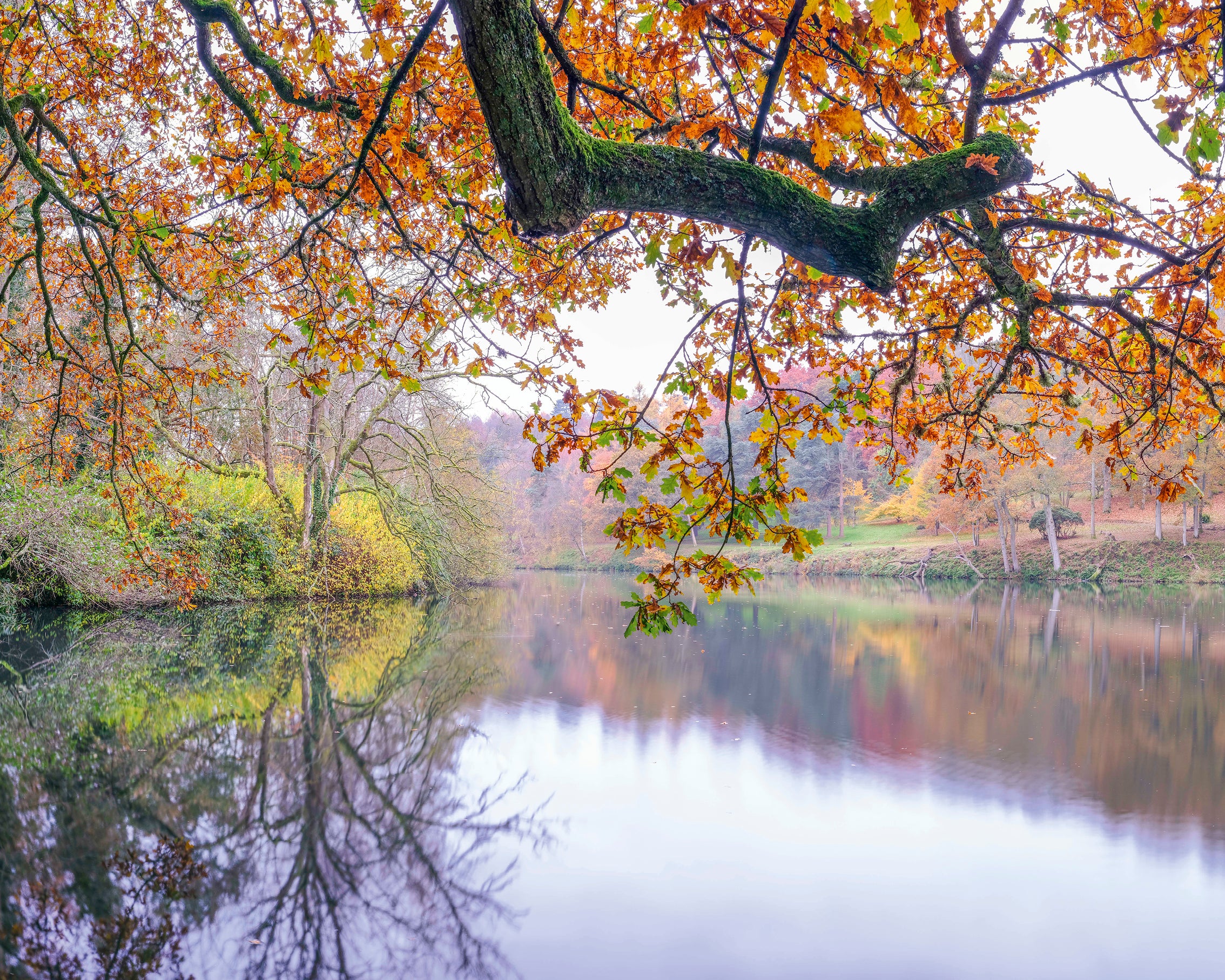 AutumnalWaterway-80x80cm.jpg