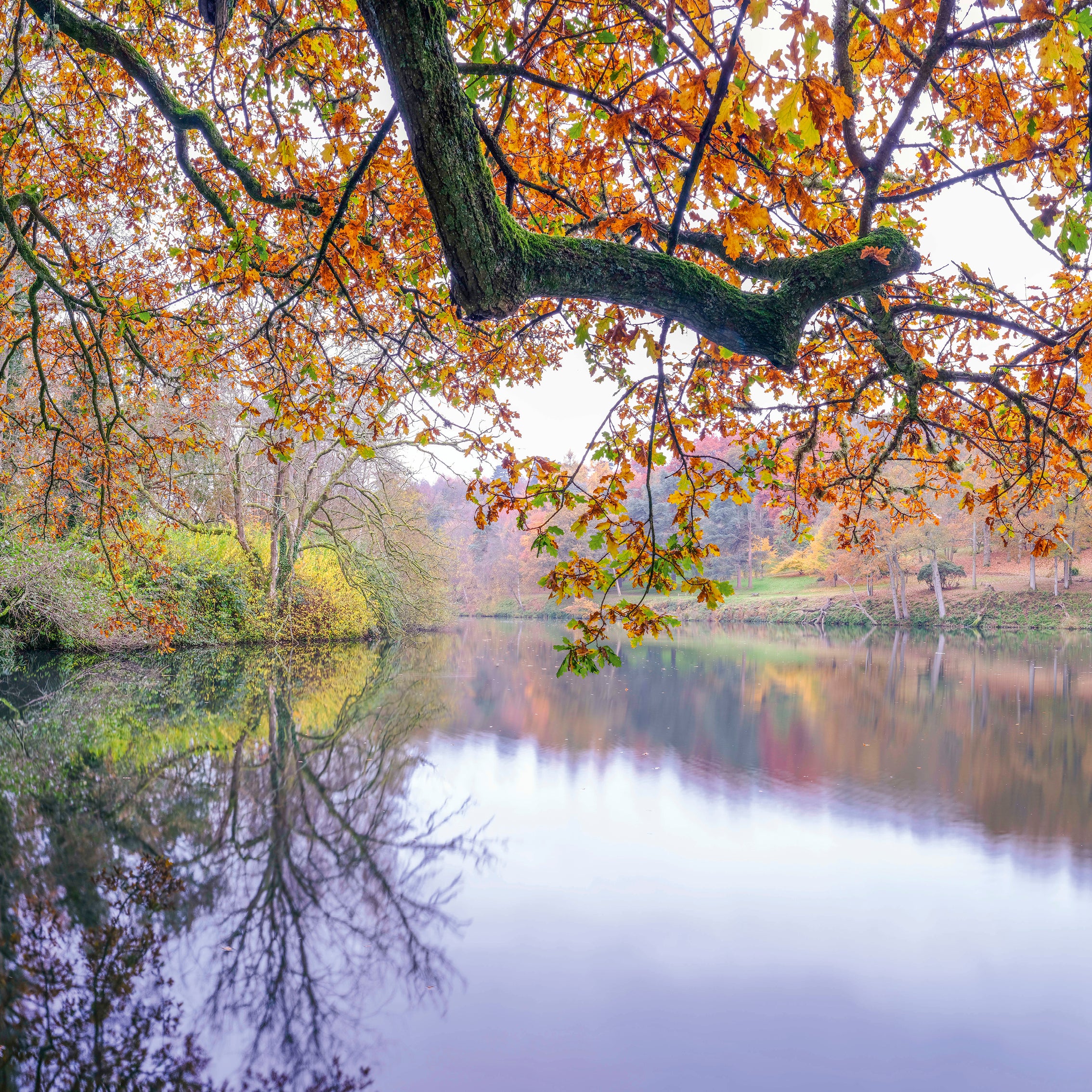 Autumnal Waterway