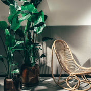 Bamboo and breath