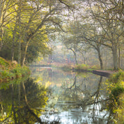 Basingstoke canal
