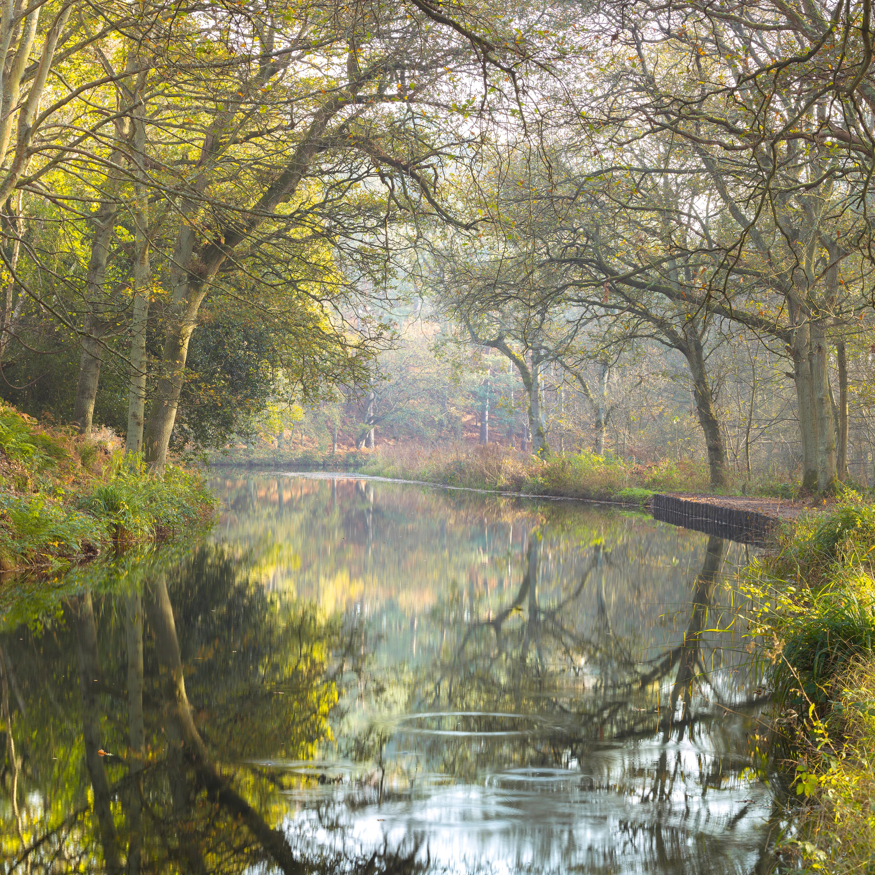 Basingstoke canal