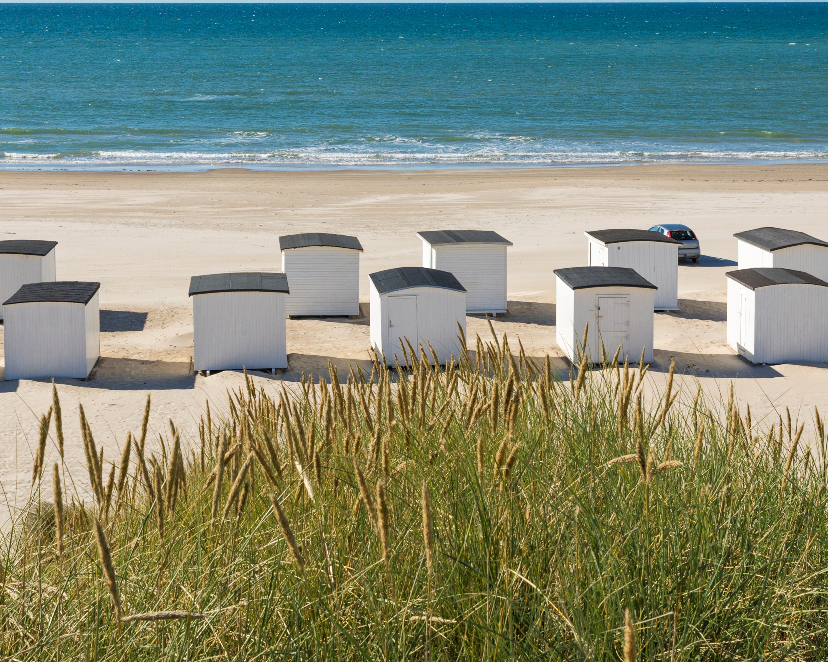 Beachhutbrigade-100x150cm.jpg