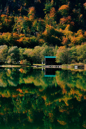 Between trees and water