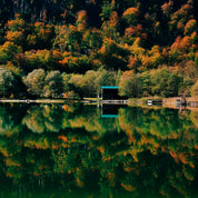 Between trees and water