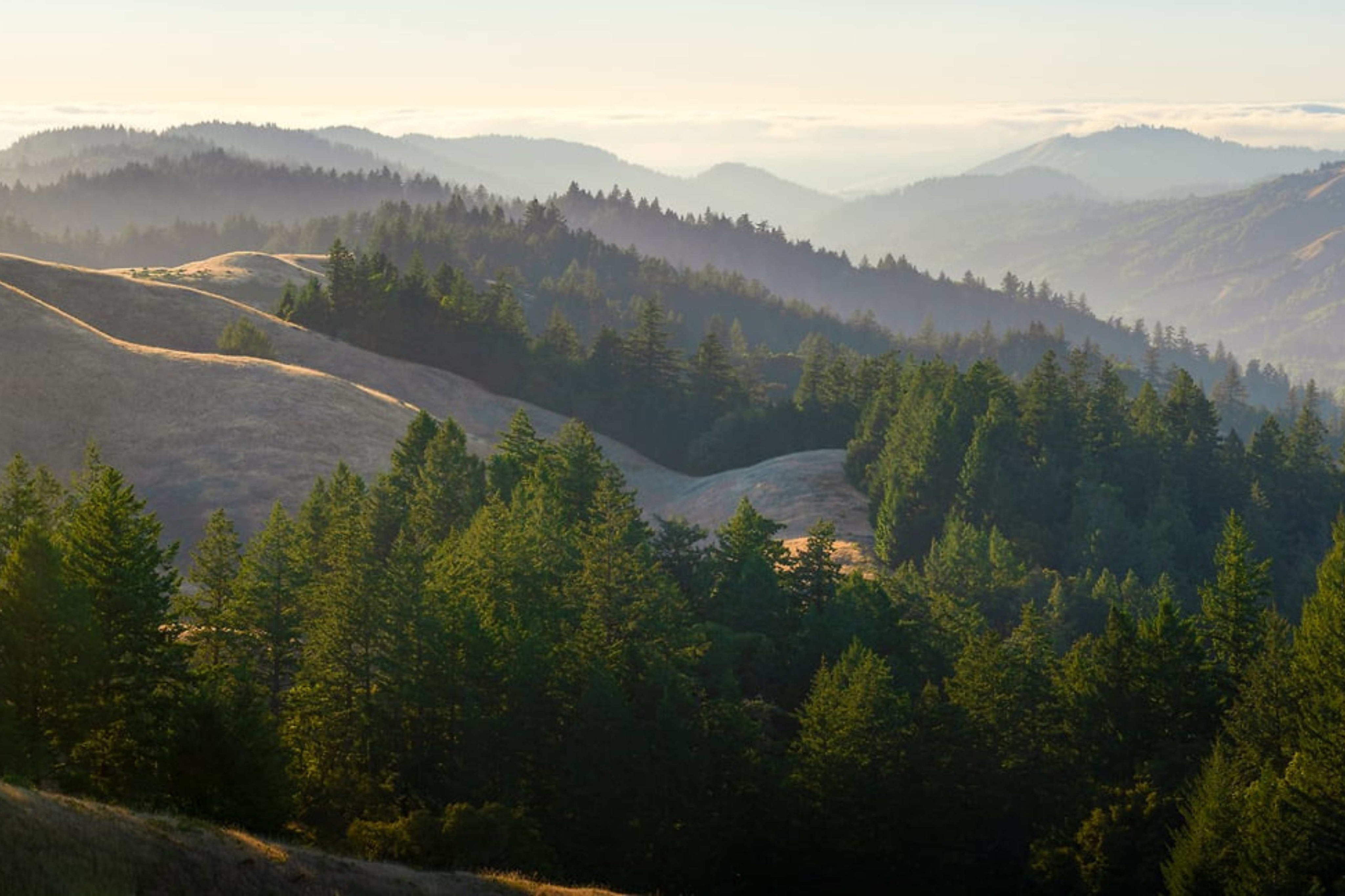 Bolinas Ridge