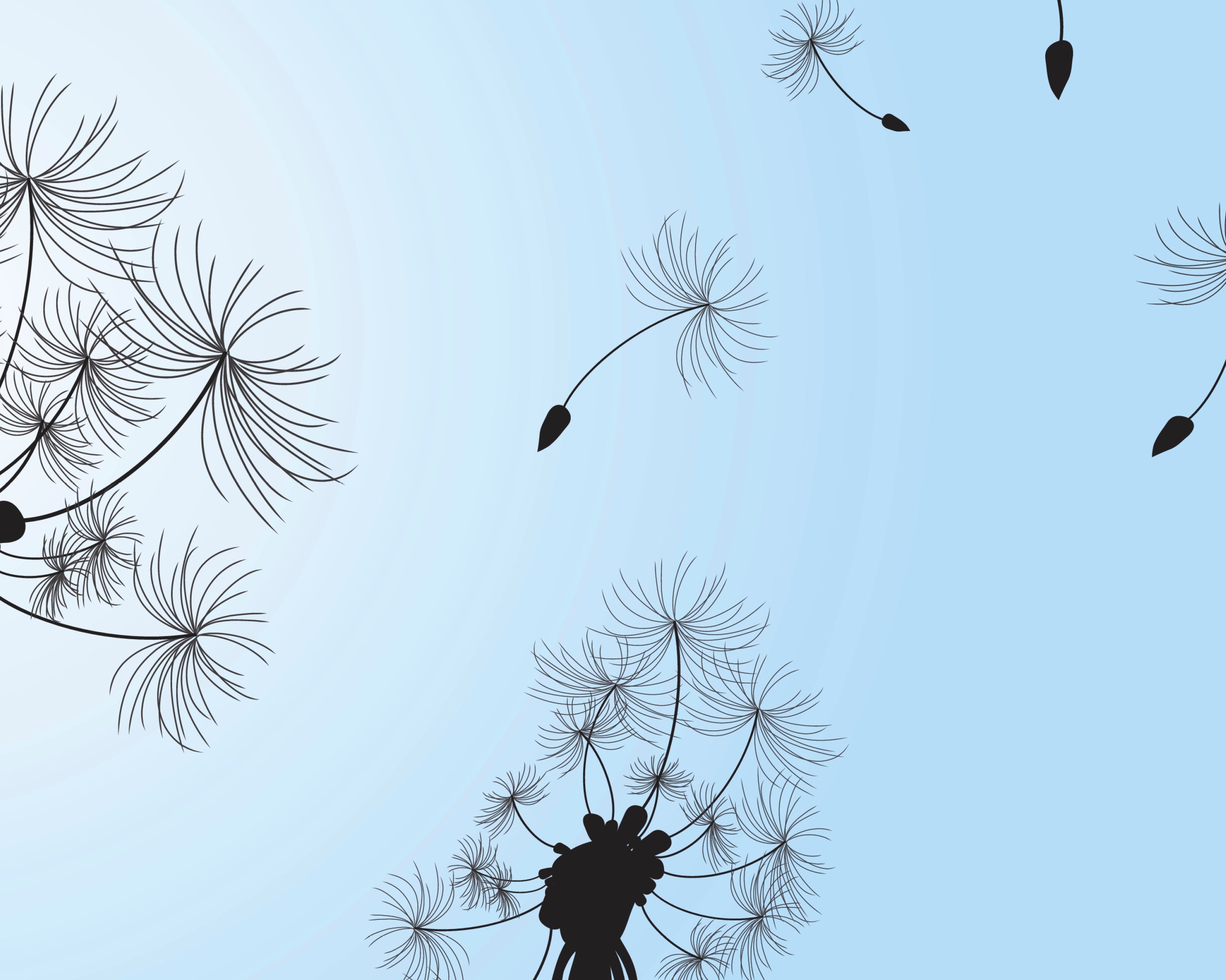 Breezeofwishes-100x150cm.jpg