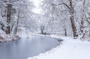 Canal through Forest