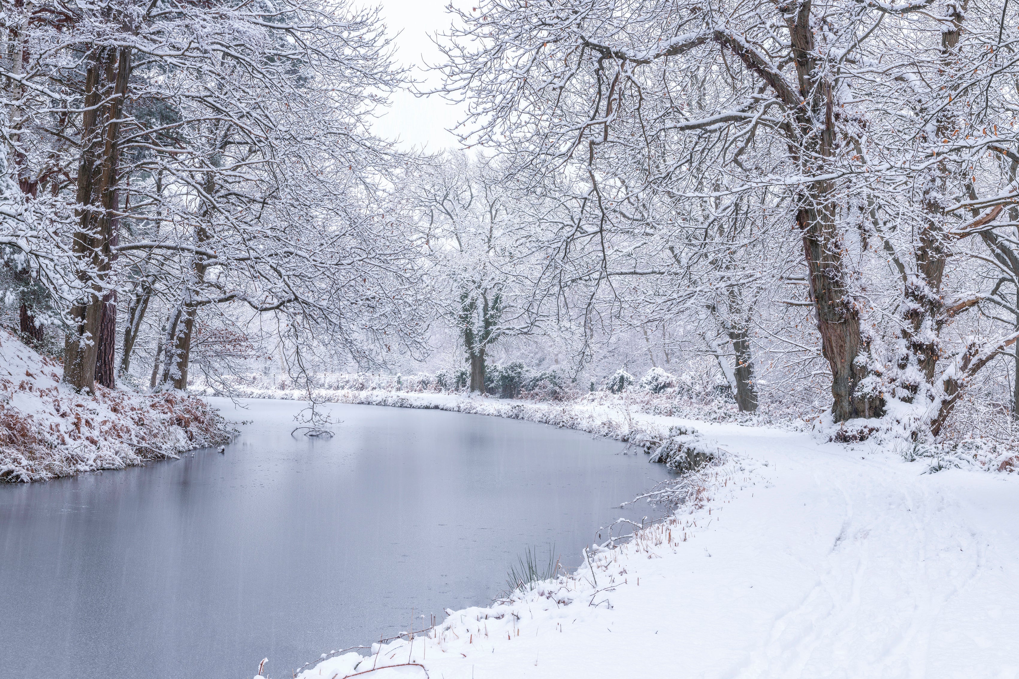 CanalthroughForest-120x80cm.jpg