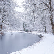 Canal through Forest