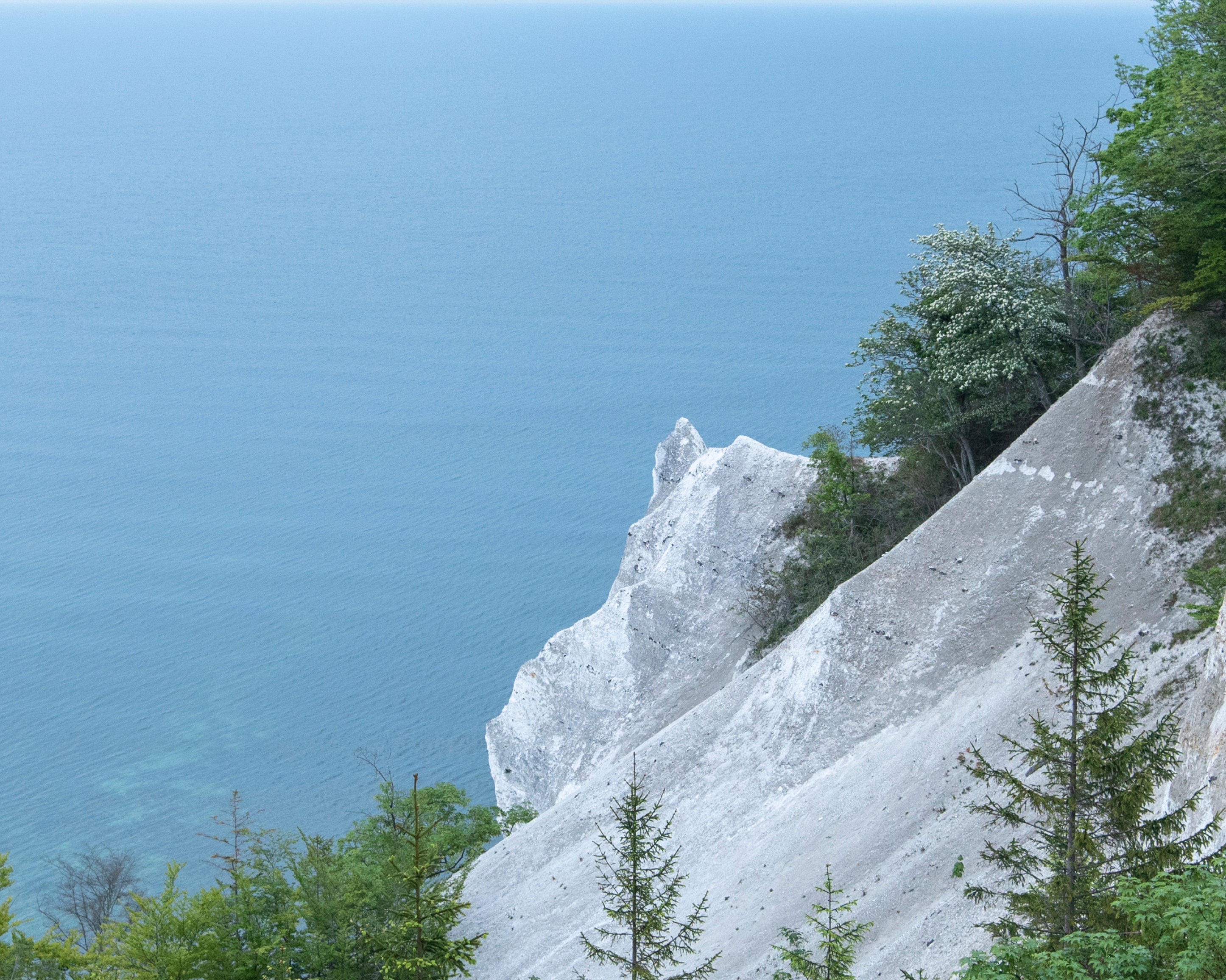 Chalkcliffsatsea_sedge-100x150cm.jpg
