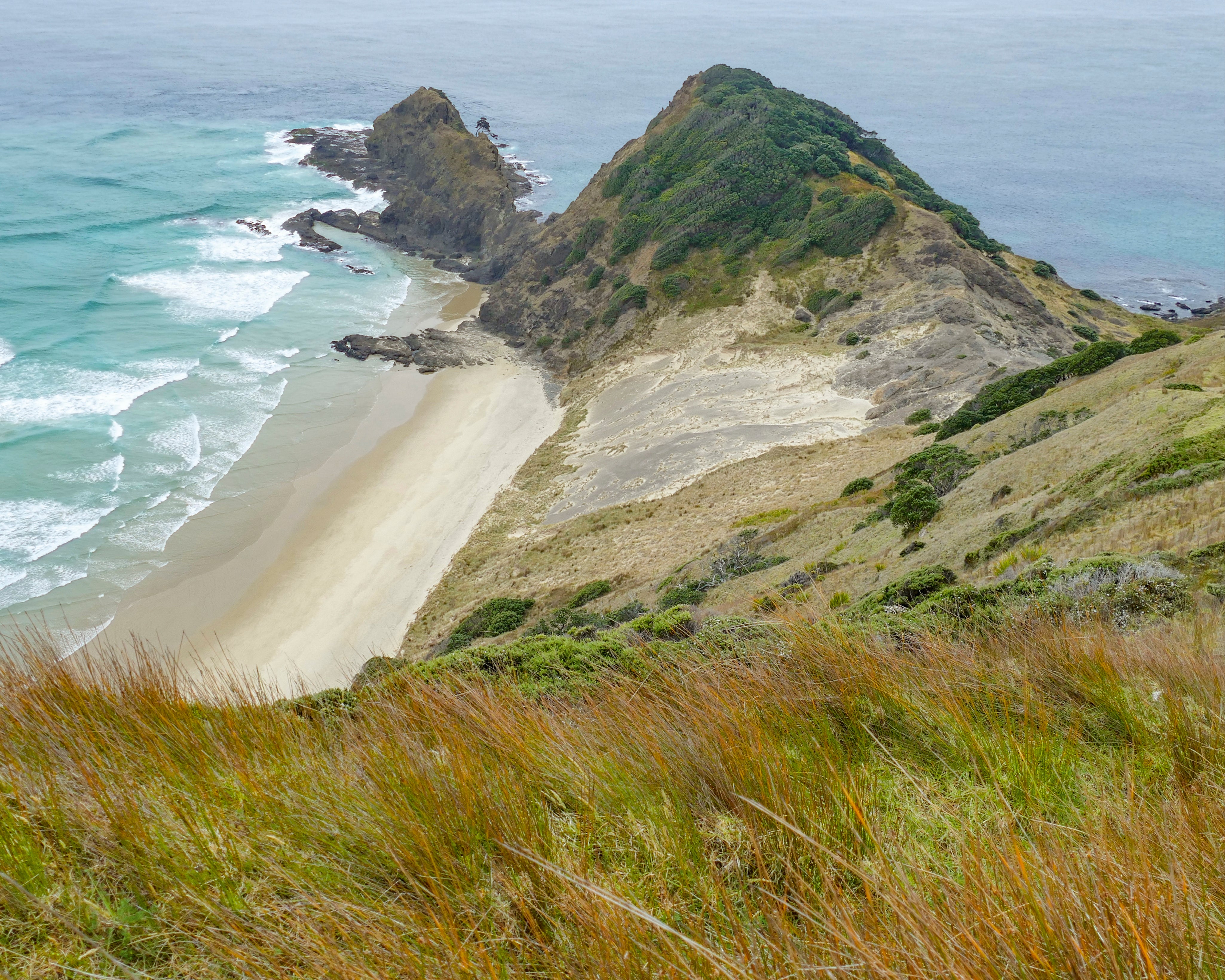 Coastalgrasslands-150x150cm.jpg