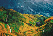Earth in the valley