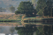 Echoes in the still water