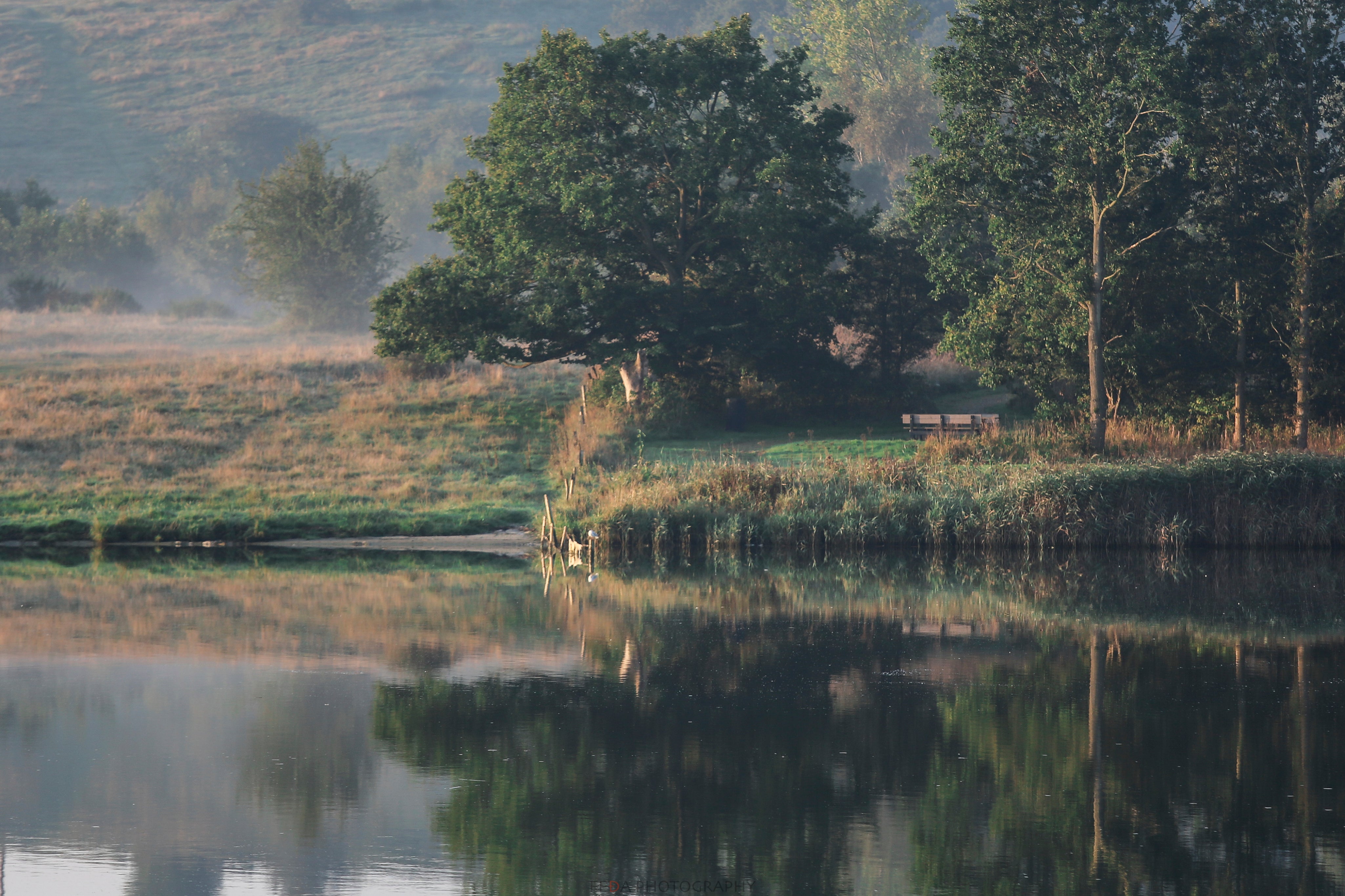 Echoes in the still water