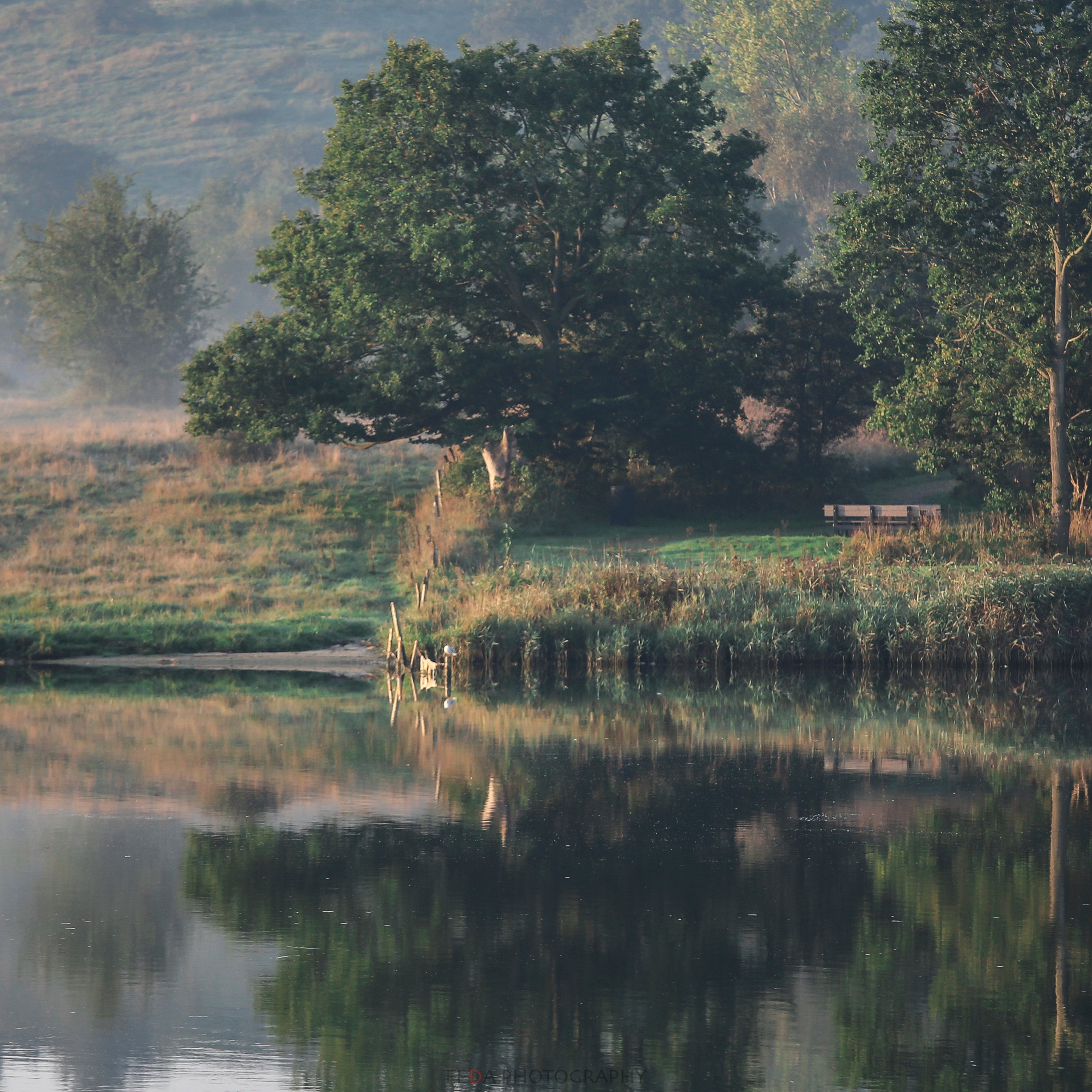 Echoes in the still water