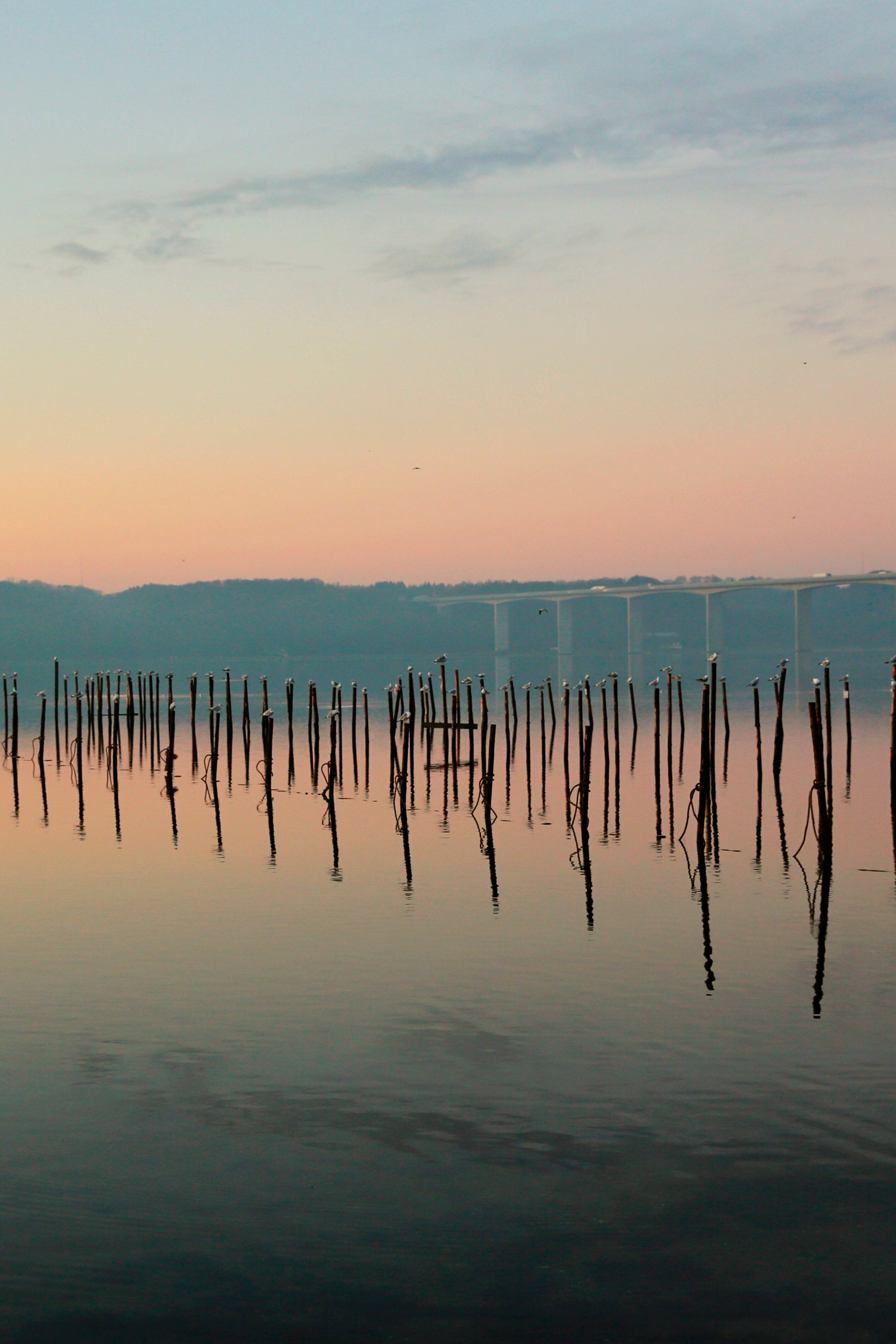 Eternal evening
