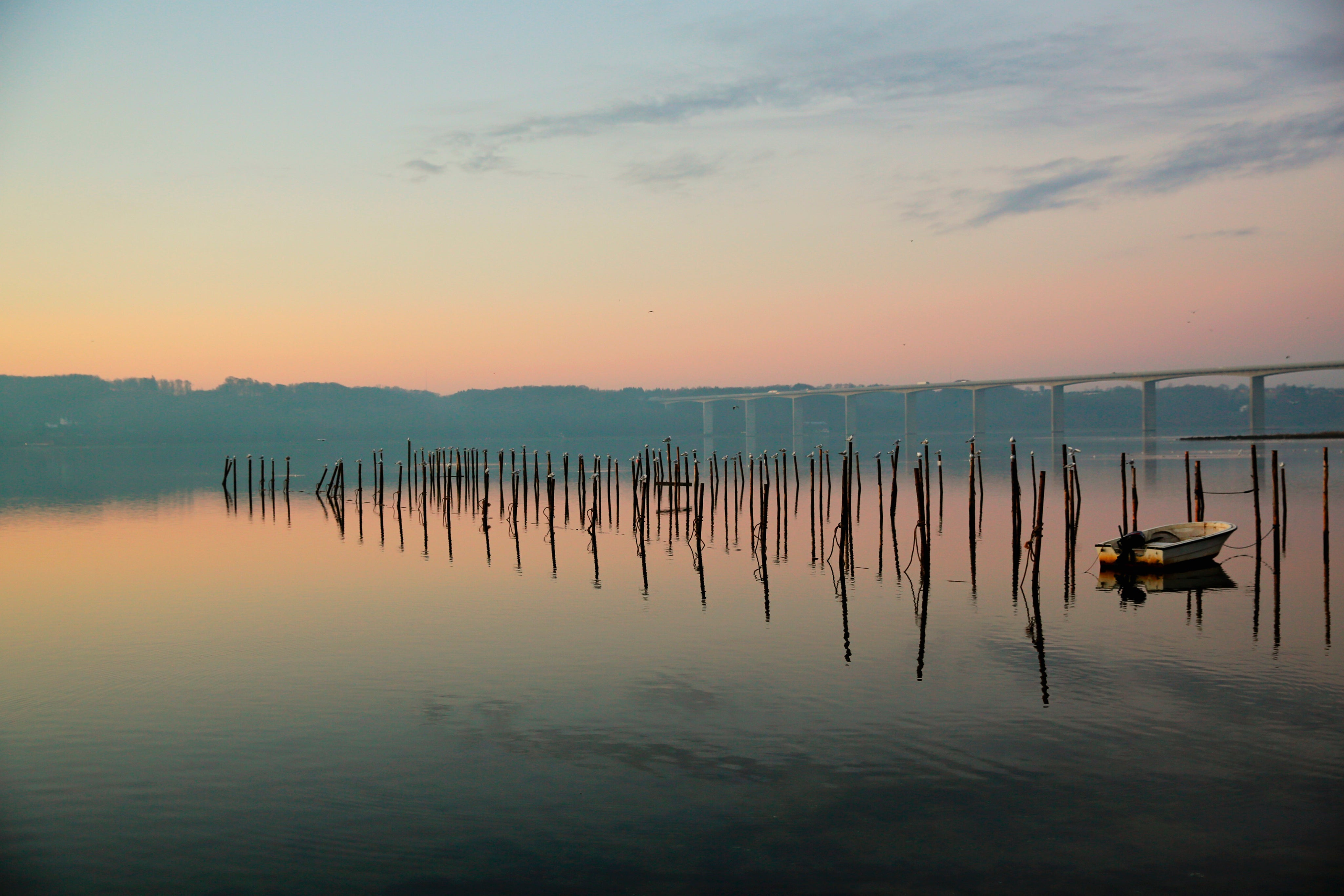 Eternal evening