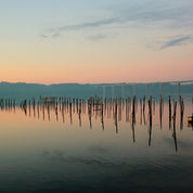 Eternal evening