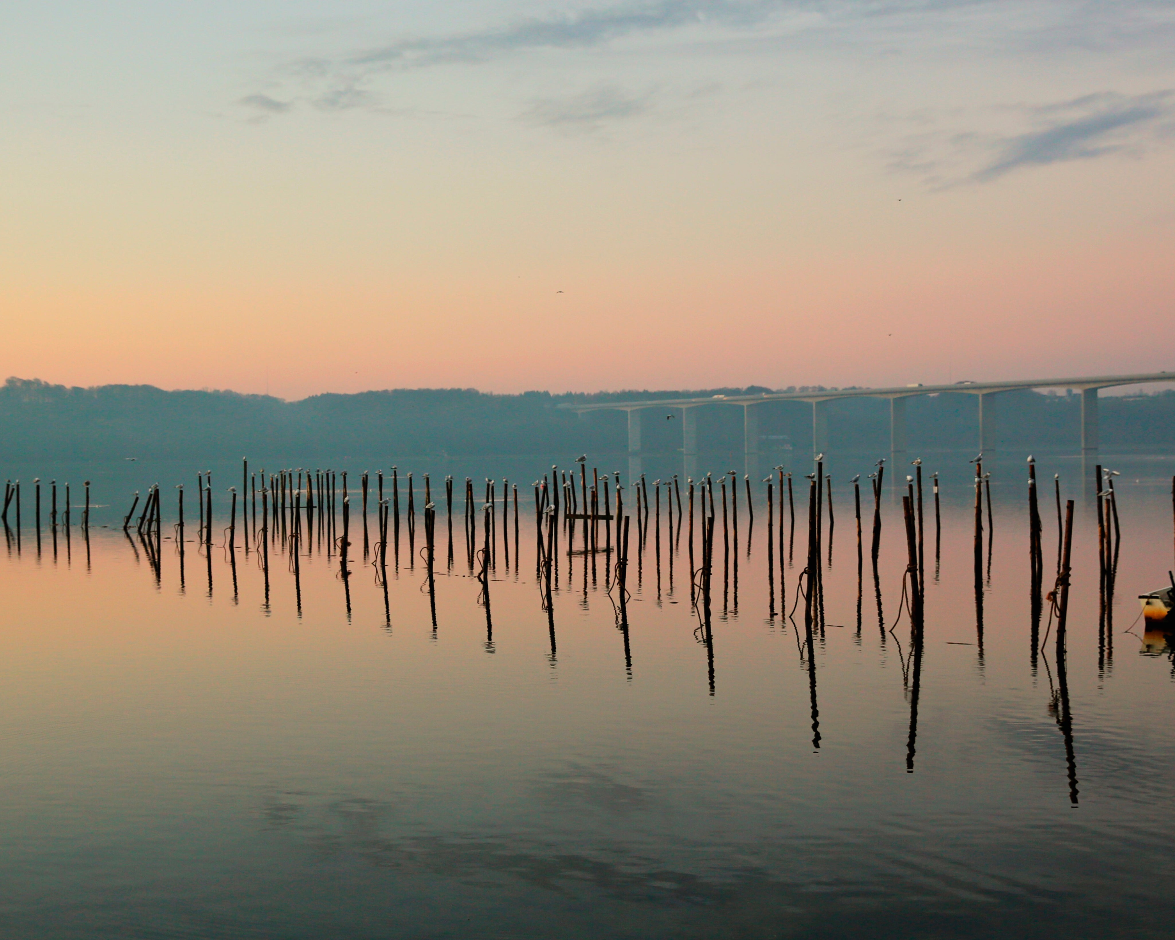 Eternalevening-150x150cm.jpg