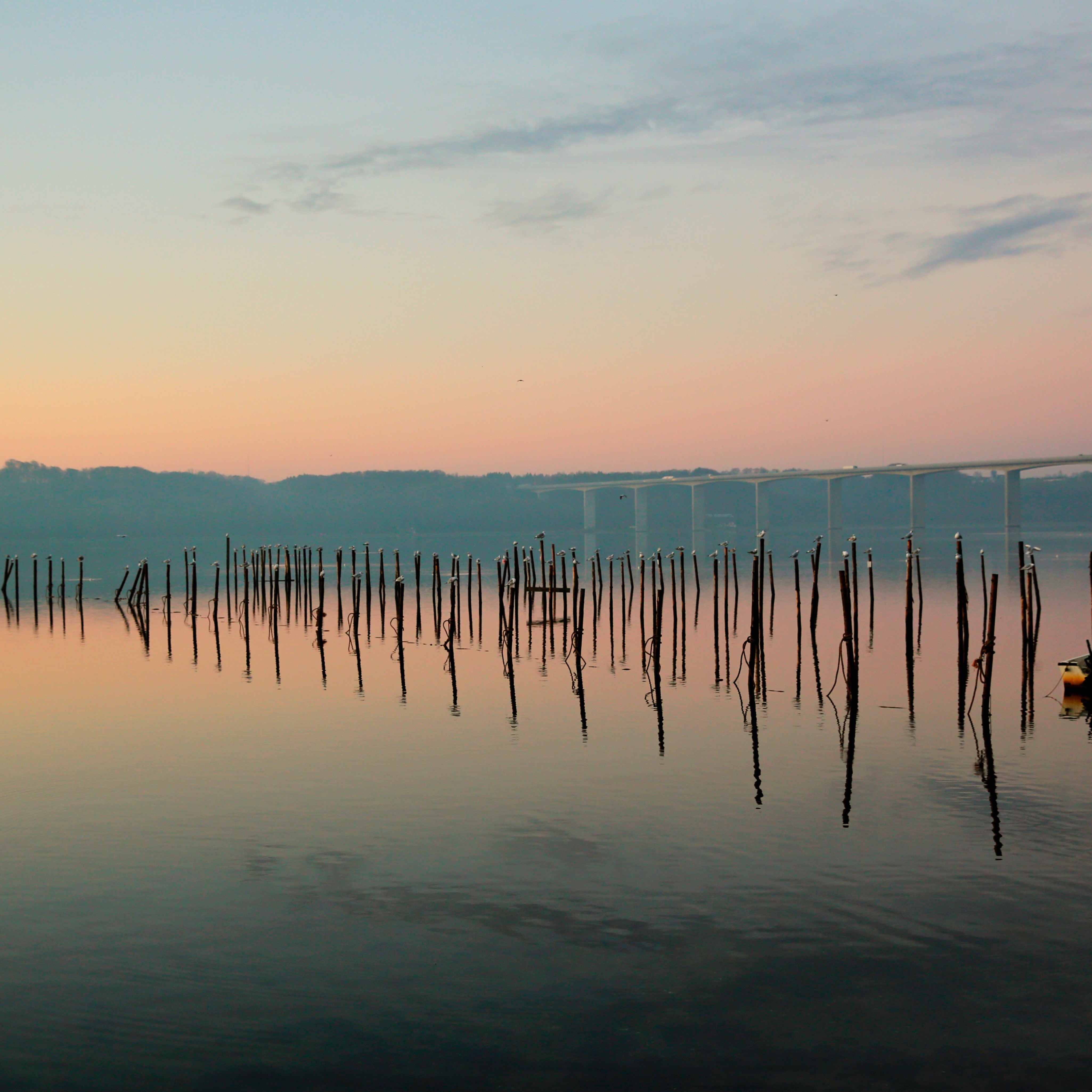 Eternal evening