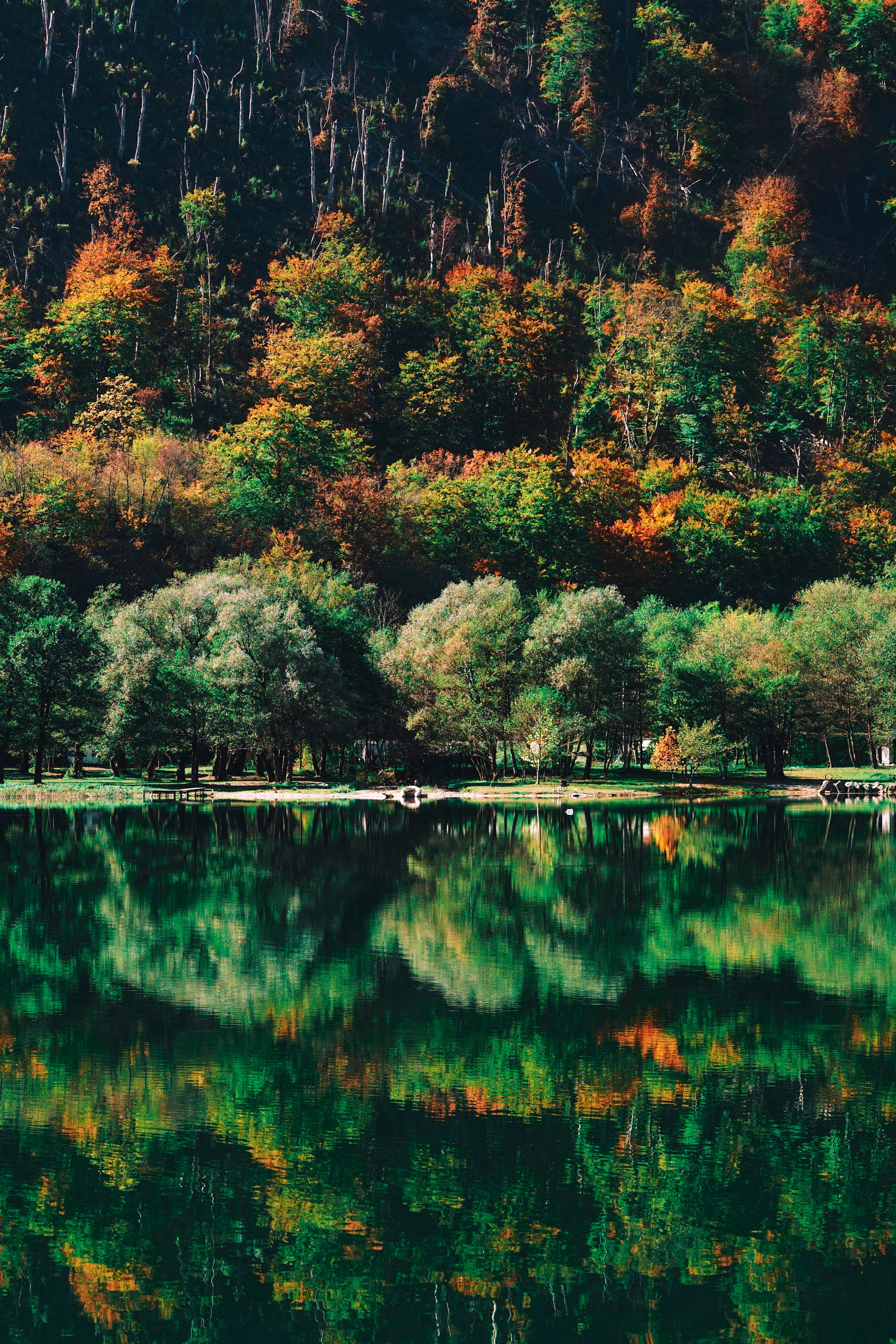 Fall reflected