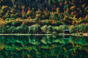 Fall reflected