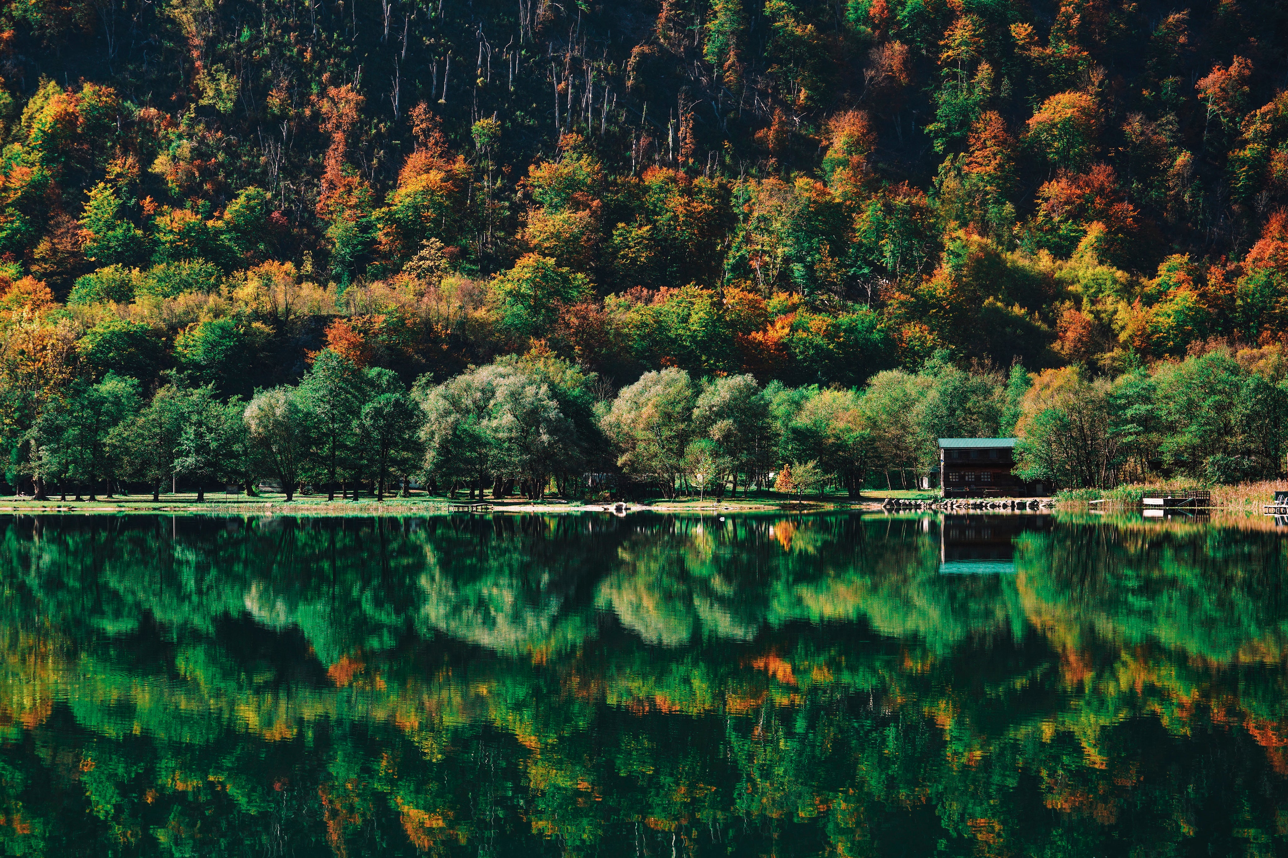 Fall reflected