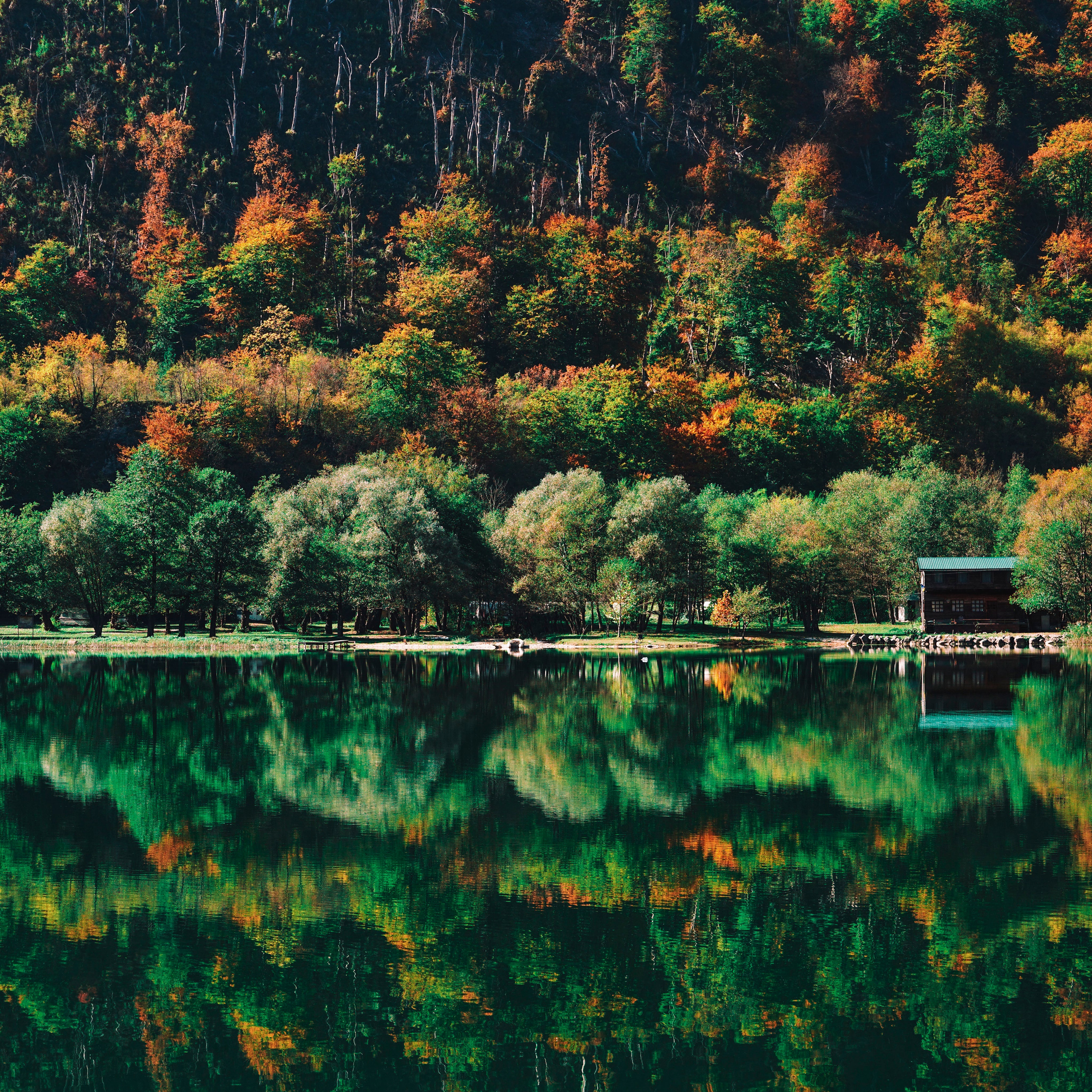 Fall reflected