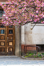 Gateway to spring