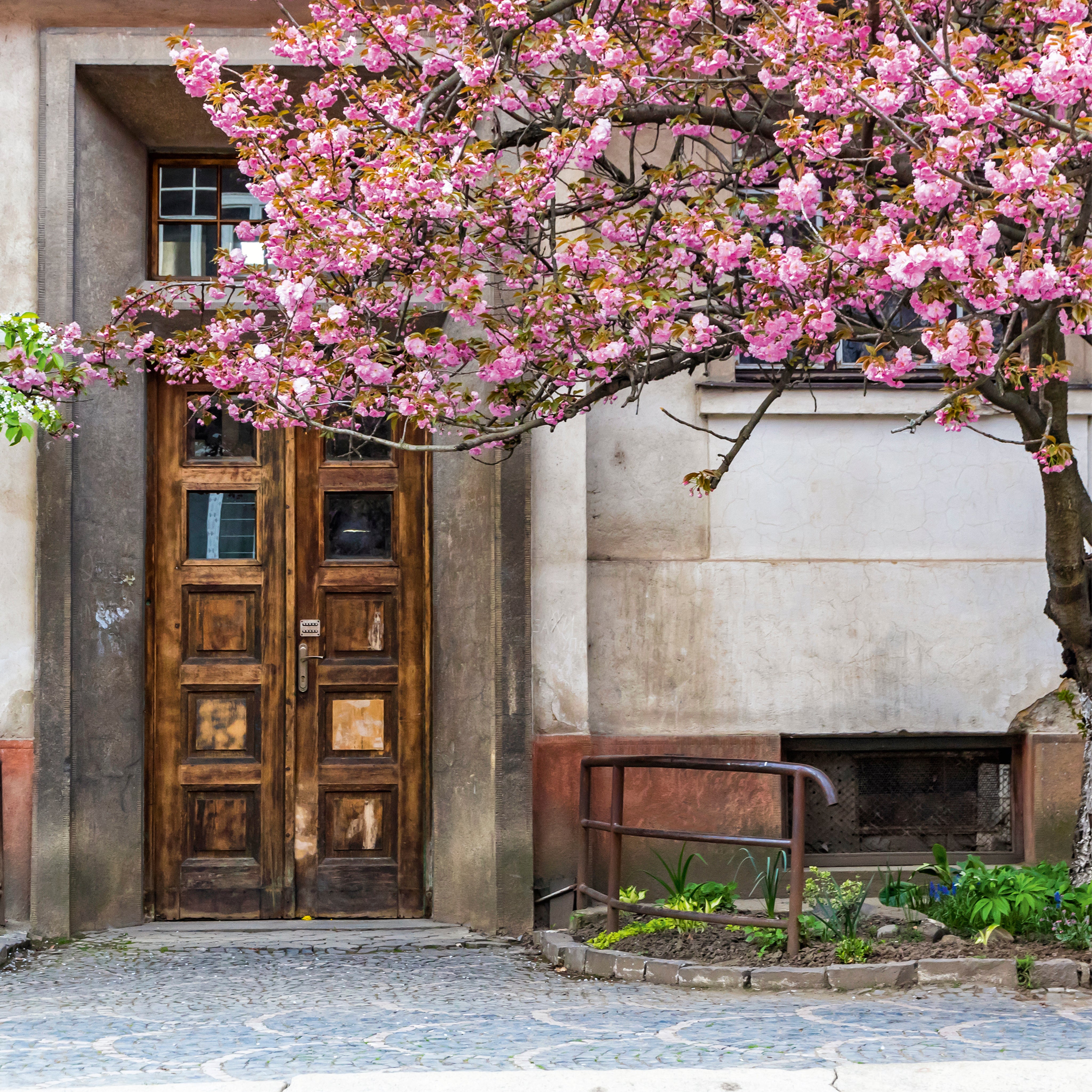Gateway to spring
